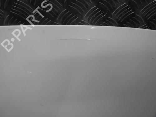 Hood RENAULT SCÉNIC III (JZ0/1_) 1.5 dCi | BP24244903C1