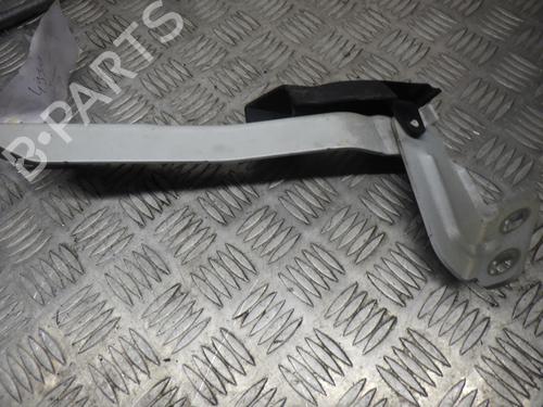 hingedoor-check-strap-renault-master-iii-van-fv-2010-24246880 main image