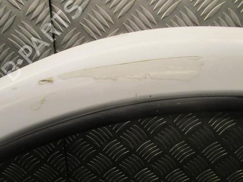 Left front door OPEL VIVARO A Van (X83) 1.9 DTI (F7) | BP24249259C2 