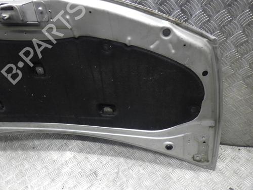 Hood RENAULT CLIO III (BR0/1, CR0/1) 1.5 dCi (BR17, CR17) | BP24251149C1