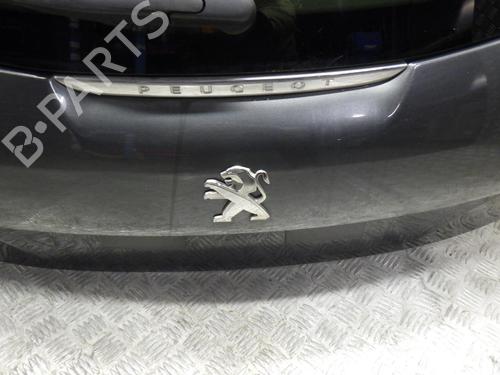 Tailgate PEUGEOT 208 I (CA_, CC_) 1.6 BlueHDi 100 | BP24248701C6 