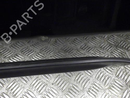 Left rear door HYUNDAI SANTA FÉ II (CM) 2.2 CRDi 4x4 | BP24247065C4 