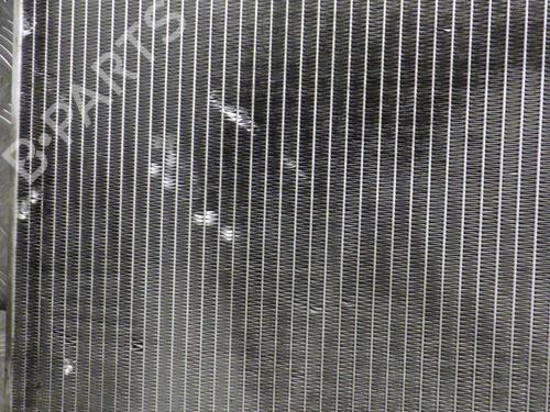 Used Water radiator Water radiator CITROËN BERLINGO / BERLINGO FIRST Box Body/MPV (M_) 2.0 HDI 90 (MBRHY, MCRHY) (90 hp) 24251179 24251179