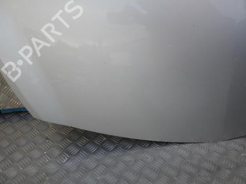 Hood RENAULT CLIO III (BR0/1, CR0/1) 1.5 dCi (C/BR0G, C/BR1G) | BP24248772C1 