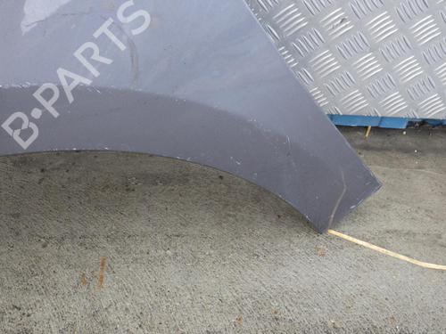 Left front fenders RENAULT MEGANE III Hatchback (BZ0/1_, B3_) 1.5 dCi (BZ09, BZ0D, BZ1W, BZ29, BZ14) | BP24244377C41 