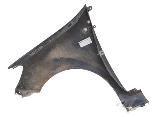 Right front fenders RENAULT CLIO III (BR0/1, CR0/1) 1.5 dCi (BR17, CR17) | BP29187778C42 