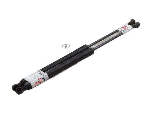 Tailgate lift support CITROËN C3 II (SC_) 1.6 HDi | BP29919018C138