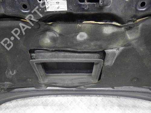 Capot Capot TOYOTA RAV 4 II (_A2_) 2.0 D 4WD (CLA20_, CLA21_, CLA20R, CLA21R) (116 hp) 24248738 24248738