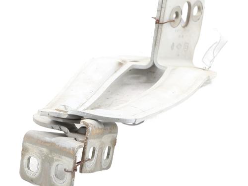 Hinge/Door check strap RENAULT KANGOO / GRAND KANGOO II (KW0/1_) 1.5 dCi 90 (KW05, KW08, KW0G, KW11) | BP29158236C146 