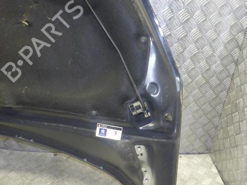 Capot Capot PEUGEOT 308 I (4A_, 4C_) 1.6 HDi (90 hp) 24248469 24248469