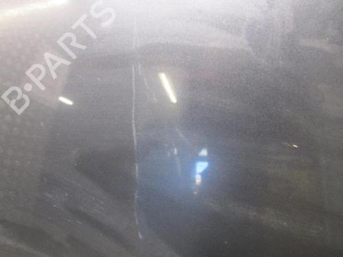 Hood RENAULT CLIO III (BR0/1, CR0/1) 1.5 dCi (BR17, CR17) | BP24932085C1