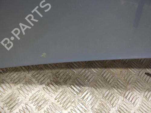 Used Hood RENAULT KANGOO / GRAND KANGOO II (KW0/1_) 1.5 dCi 90 (KW05, KW08, KW0G, KW11) (90 hp) 24247058