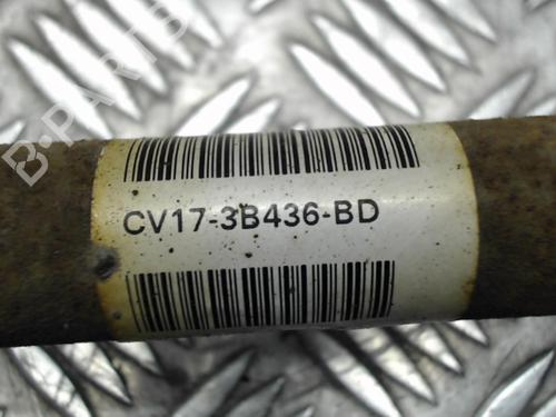 Right front driveshaft FORD B-MAX (JK) 1.0 EcoBoost | BP24247445M39 - Image 2