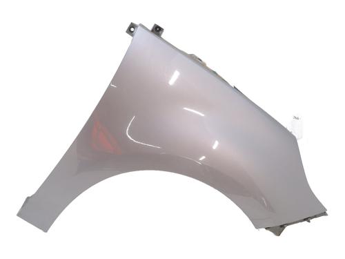 Used Right front fenders RENAULT SCÉNIC III (JZ0/1_) 1.5 dCi (86 hp) 29220841