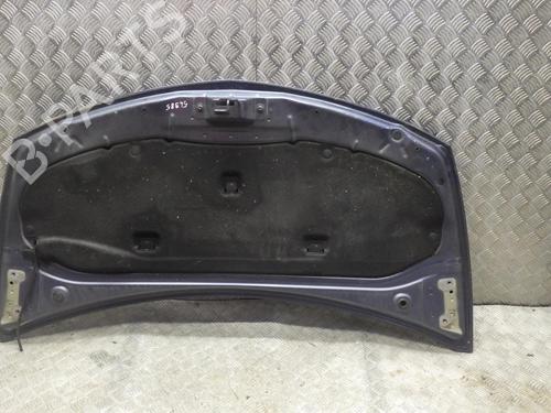 Hood RENAULT CLIO III (BR0/1, CR0/1) 1.5 dCi (BR17, CR17) | BP24248338C1