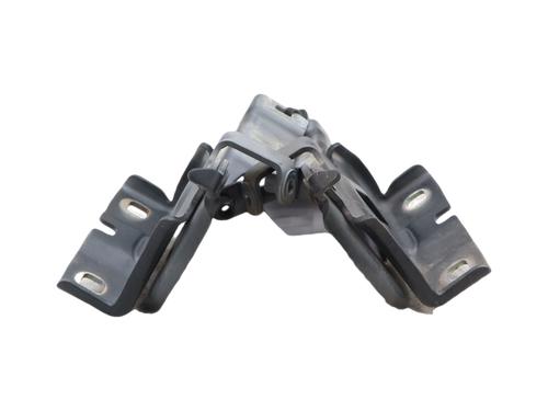 hingedoor-check-strap-dacia-sandero-iii-2021-37992528 main image