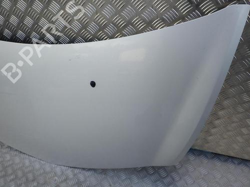 Hood RENAULT CLIO III (BR0/1, CR0/1) 1.5 dCi (C/BR0G, C/BR1G) | BP24248772C1 