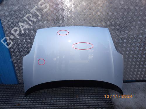 Used Hood FIAT GRANDE PUNTO (199_) 1.3 D Multijet (75 hp) 24244593