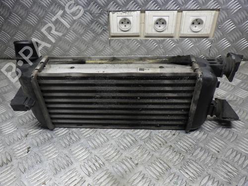 Used Intercooler FIAT 500 (312_) 1.3 D Multijet (312AXB1A) (75 hp) 24246777