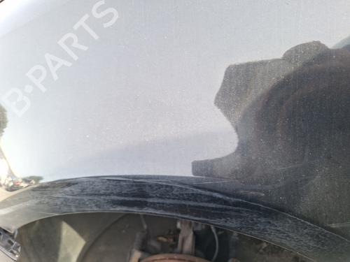 Left front fenders RENAULT CLIO III (BR0/1, CR0/1) 1.6 16V GT (BR10, CR10) | BP29372052C41 