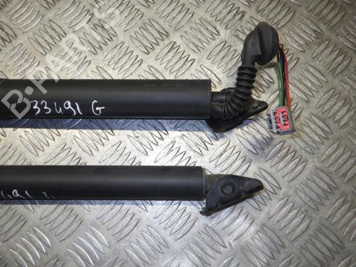 tailgate-lift-support-ford-kuga-ii-dm2-2012-24246640 main image