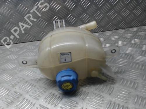Used Expansion tank CITROËN NEMO Box Body/MPV (AA_) 1.3 HDi 75 (75 hp) 24252815