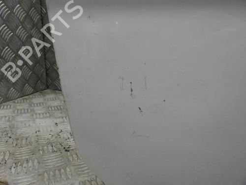 Right front door RENAULT MEGANE II (BM0/1_, CM0/1_) 1.5 dCi (BM1F, CM1F) | BP24245745C3 