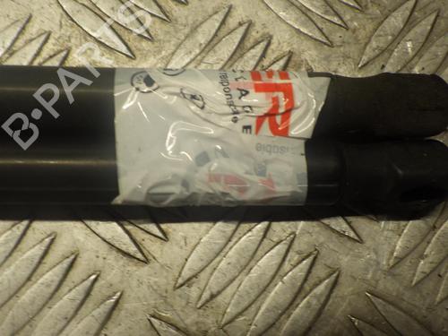 Tailgate lift support RENAULT MEGANE III Coupe (DZ0/1_) 1.5 dCi (DZ0B) | BP24246326C138 
