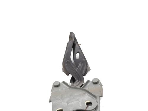 Hinge/Door check strap RENAULT TWINGO II (CN0_) 1.2 16V (CN04, CN0B) | BP29401945C146 