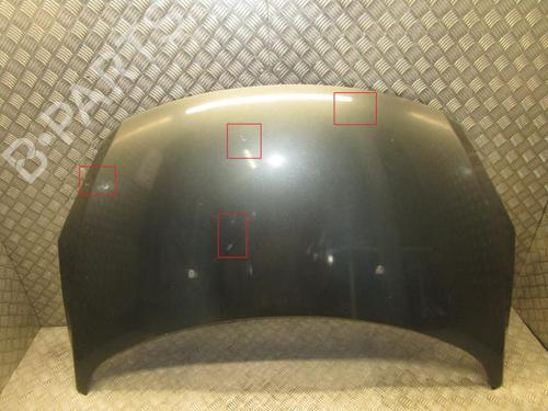 Hood PEUGEOT 307 (3A/C) 1.6 HDi 110 | BP24251767C1 