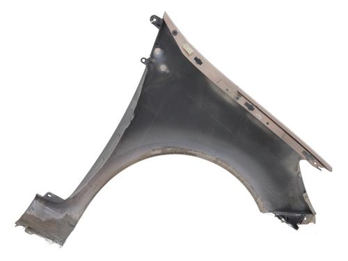 Forkjerm venstre RENAULT CLIO III (BR0/1, CR0/1) 1.5 dCi (C/BR0G, C/BR1G) | BP29220861C41