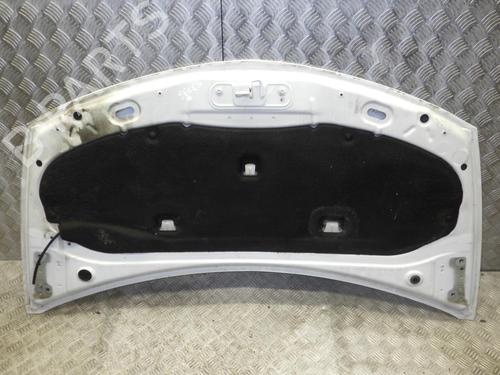 Hood RENAULT CLIO III (BR0/1, CR0/1) 1.5 dCi | BP24248680C1 