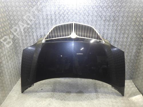 Used Hood LANCIA PHEDRA (179_) 2.2 JTD (179AXC1A) (128 hp) 24248474