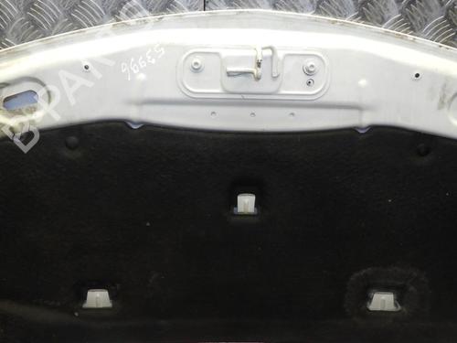 Hood RENAULT CLIO III (BR0/1, CR0/1) 1.5 dCi | BP24248680C1 