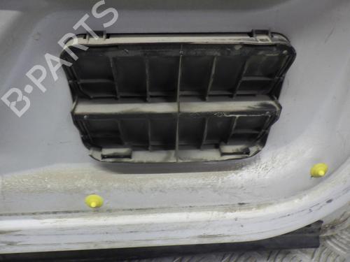 Right front door NISSAN PRIMASTAR Van (X83) 1.9 dCi 100 | BP24248962C3 