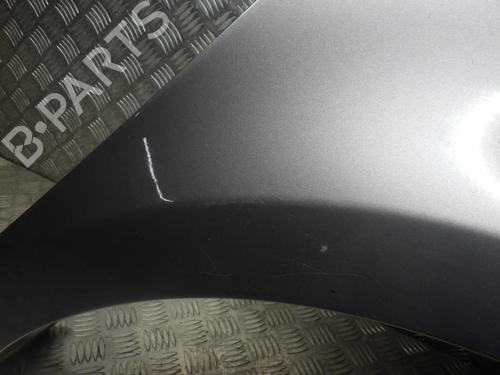 Right front fenders RENAULT CLIO III (BR0/1, CR0/1) 1.5 dCi (C/BR0G, C/BR1G) | BP29142001C42 