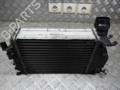 Intercooler RENAULT MEGANE IV Hatchback (B9A/M/N_) 1.5 dCi 110 (B9A3) | BP24250657M30 - Image 3