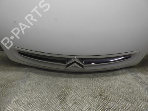 Hood CITROËN XSARA PICASSO (N68) 2.0 HDi | BP24246555C1 