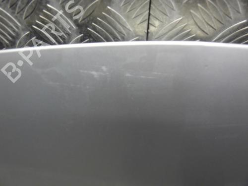 Hood RENAULT CLIO III (BR0/1, CR0/1) 1.5 dCi (BR17, CR17) | BP24251149C1