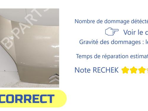 Hood CITROËN NEMO Box Body/MPV (AA_) 1.3 HDi 75 | BP31919445C1 