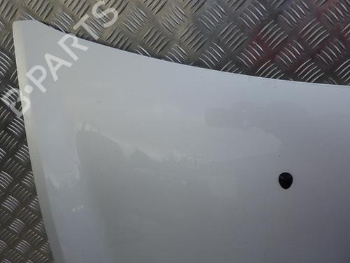 Hood RENAULT CLIO III (BR0/1, CR0/1) 1.5 dCi (C/BR0G, C/BR1G) | BP24248772C1 
