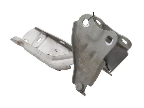 Hinge/Door check strap RENAULT TWINGO II (CN0_) 1.2 16V (CN04, CN0B) | BP29401932C146 