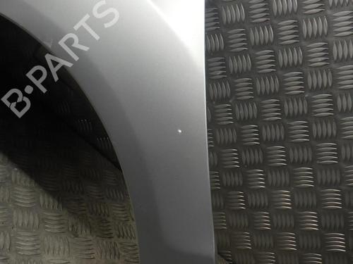 Left front fenders FORD FIESTA VI (CB1, CCN) 1.6 TDCi | BP24246615C41 
