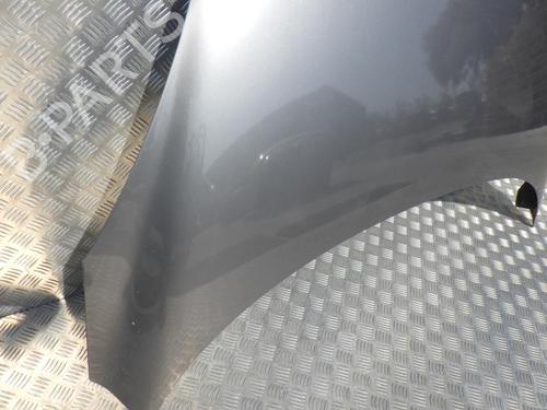 Hood RENAULT SCÉNIC III (JZ0/1_) 1.5 dCi | BP24251311C1