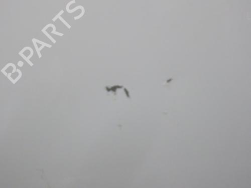 Left rear door HYUNDAI i20 I (PB, PBT) 1.2 | BP24244773C4 
