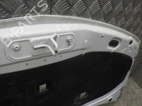 Hood RENAULT CLIO III (BR0/1, CR0/1) 1.5 dCi | BP24246730C1