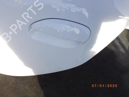 Left rear door DACIA SANDERO II 1.2 | BP24462909C4