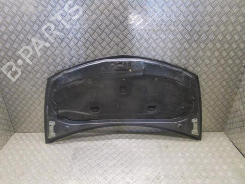 Hood RENAULT CLIO III (BR0/1, CR0/1) 1.5 dCi (BR17, CR17) | BP24932085C1