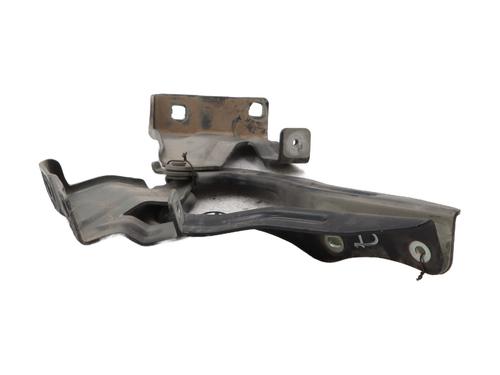 Hinge/Door check strap NISSAN QASHQAI II (J11, J11_) 1.3 DIG-T | BP29588979C146 