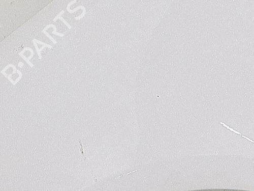 Left front fenders RENAULT CLIO III (BR0/1, CR0/1) 1.5 dCi (C/BR0G, C/BR1G) | BP30854369C41 